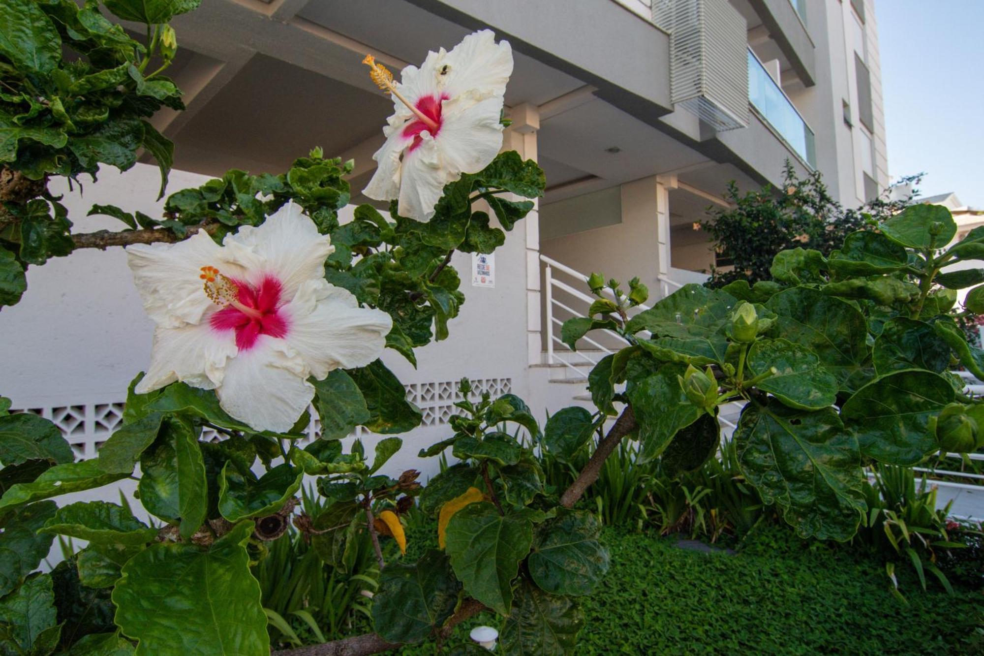 Апартаменты Localizacao Perfeita No Novo Campeche P473 Флорианополис Экстерьер фото
